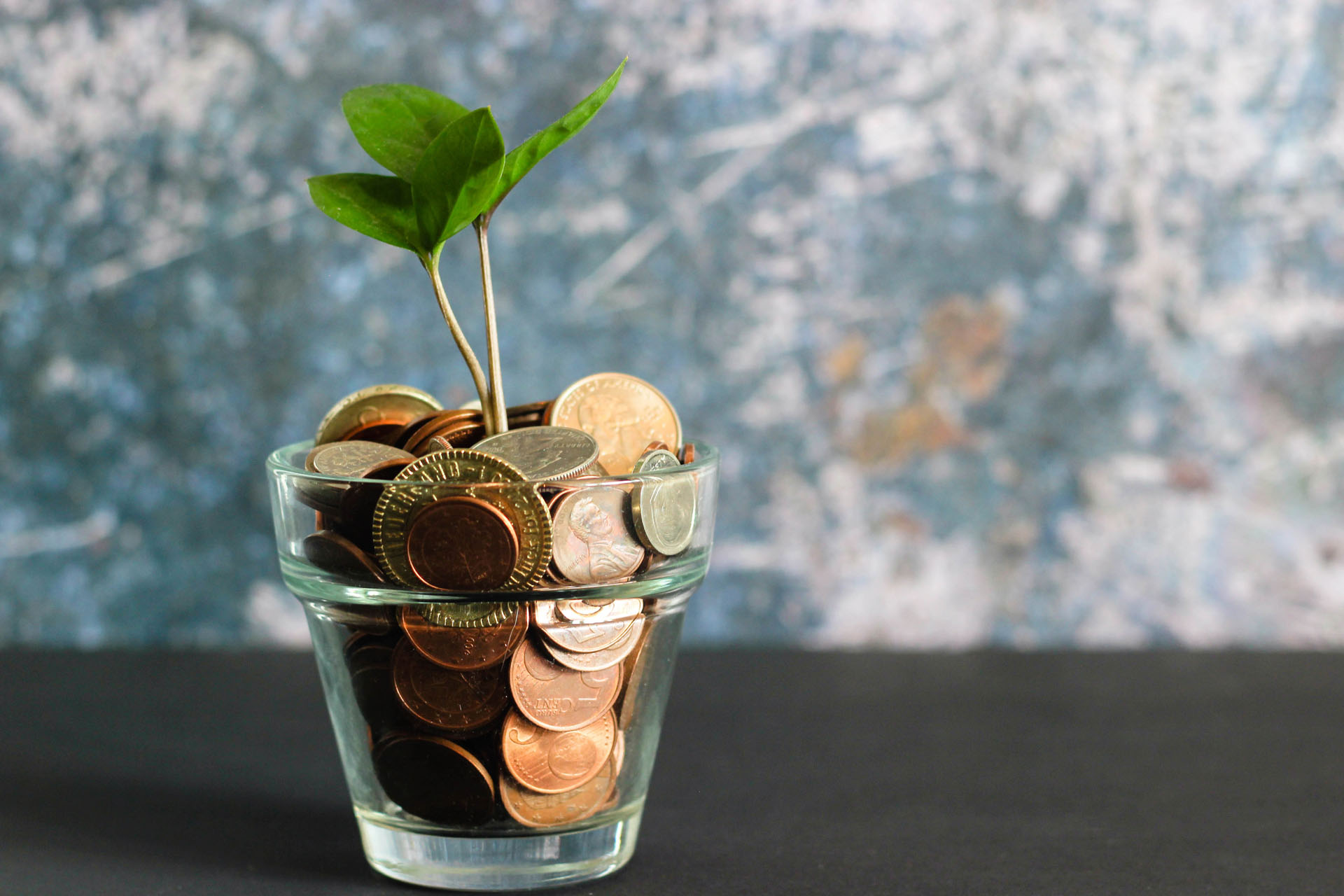 A jar of coins next to a growing plant